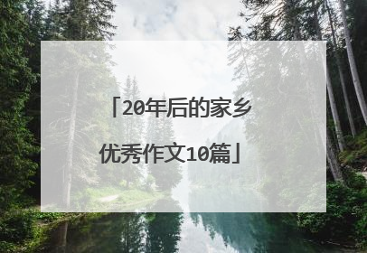 20年后的家乡优秀作文10篇