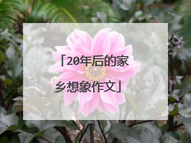 20年后的家乡想象作文