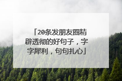 20条发朋友圈精辟透彻的好句子,字字犀利,句句扎心