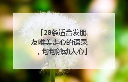 20条适合发朋友唯美走心的语录，句句触动人心