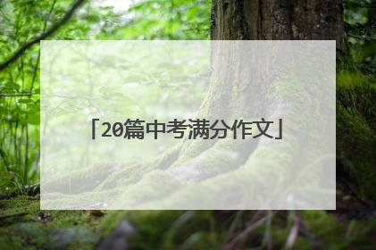 20篇中考满分作文