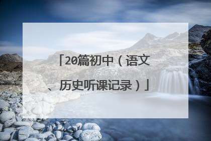 20篇初中(语文、历史听课记录)