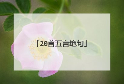 20首五言绝句