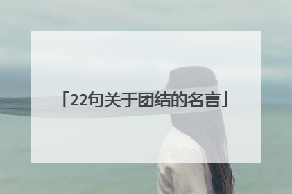 22句关于团结的名言