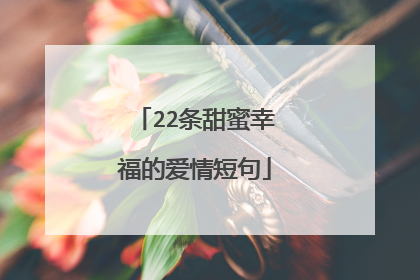 22条甜蜜幸福的爱情短句