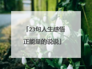 23句人生感悟正能量的说说