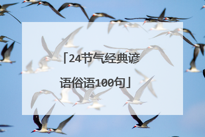 24节气经典谚语俗语100句