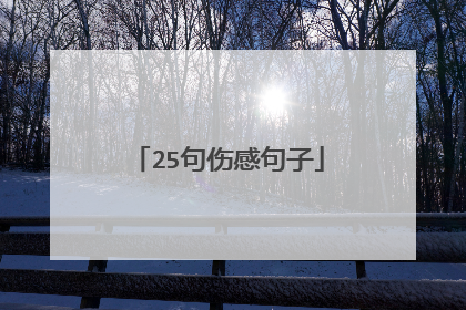 25句伤感句子