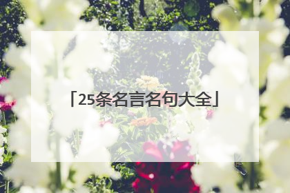 25条名言名句大全