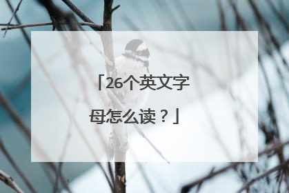 26个英文字母怎么读?