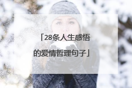 28条人生感悟的爱情哲理句子