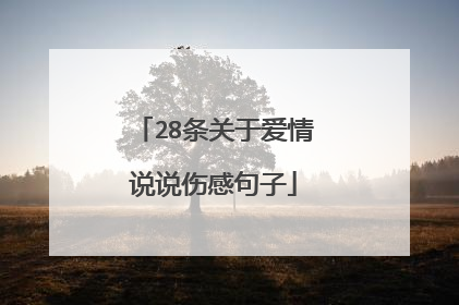 28条关于爱情说说伤感句子