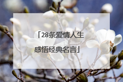 28条爱情人生感悟经典名言