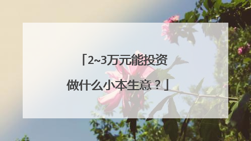 2~3万元能投资做什么小本生意?