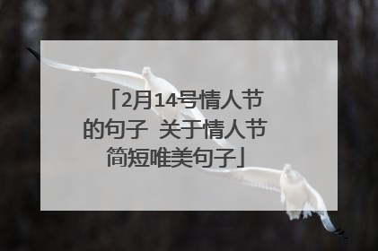 2月14号情人节的句子 关于情人节简短唯美句子