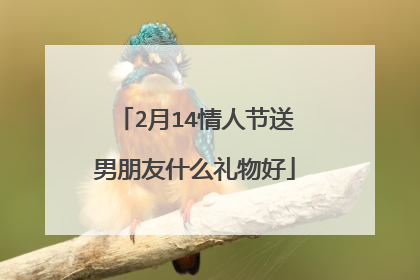 2月14情人节送男朋友什么礼物好