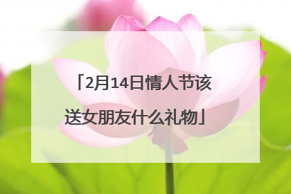 2月14日情人节该送女朋友什么礼物