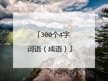 300个4字词语(成语)