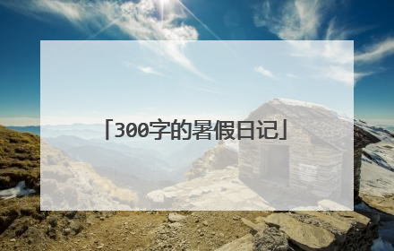 300字的暑假日记