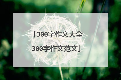 300字作文大全 300字作文范文