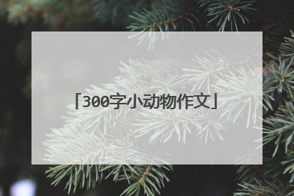 300字小动物作文