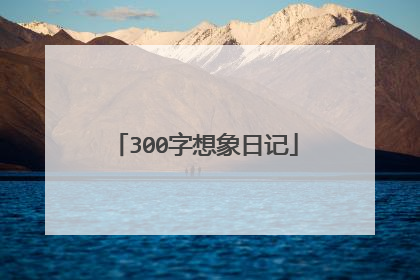 300字想象日记