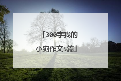 300字我的小狗作文5篇