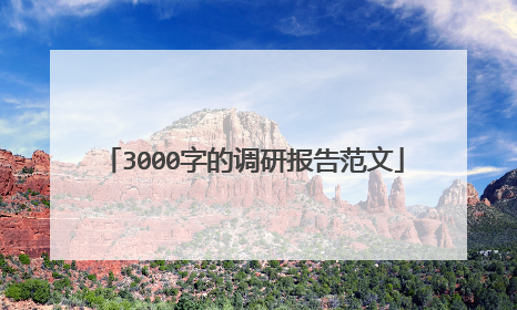 3000字的调研报告范文