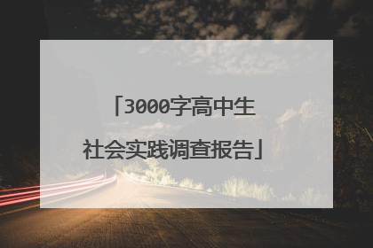 3000字高中生社会实践调查报告