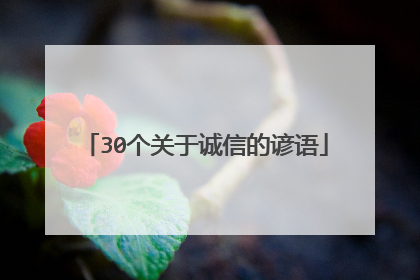 30个关于诚信的谚语