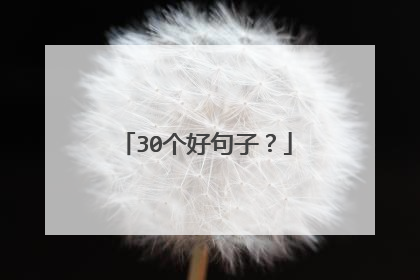 30个好句子？
