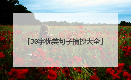 30字优美句子摘抄大全