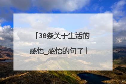 30条关于生活的感悟_感悟的句子