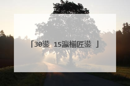 30鍙�15瀛椾匠鍙�