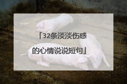 32条淡淡伤感的心情说说短句