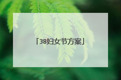 38妇女节方案
