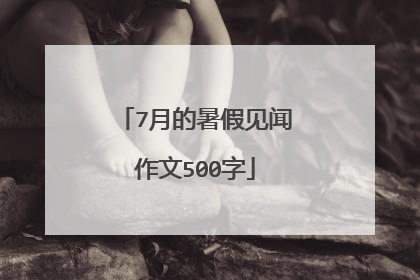 7月的暑假见闻作文500字