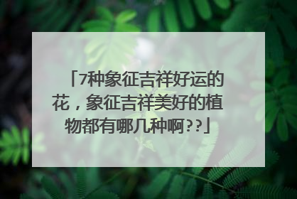 7种象征吉祥好运的花,象征吉祥美好的植物都有哪几种啊??