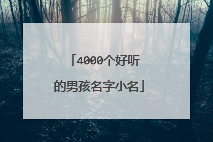 4000个好听的男孩名字小名