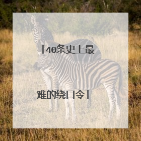 40条史上最难的绕口令
