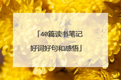 40篇读书笔记好词好句和感悟