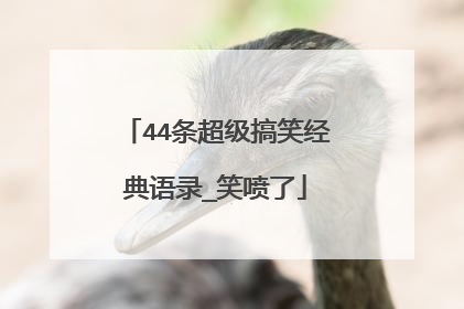 44条超级搞笑经典语录_笑喷了