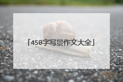 450字写景作文大全