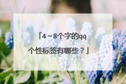 4~8个字的qq个性标签有哪些?