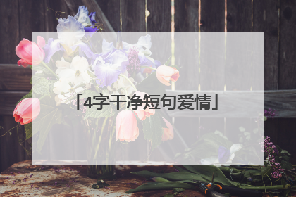 4字干净短句爱情