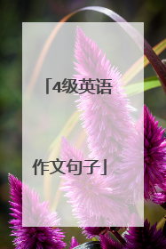 4级英语作文句子