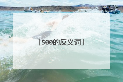 500的反义词