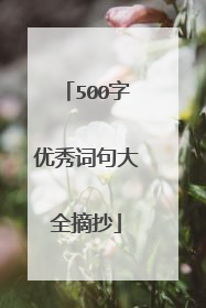500字优秀词句大全摘抄