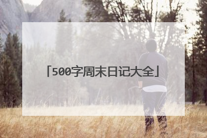 500字周末日记大全