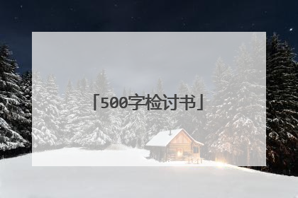 500字检讨书